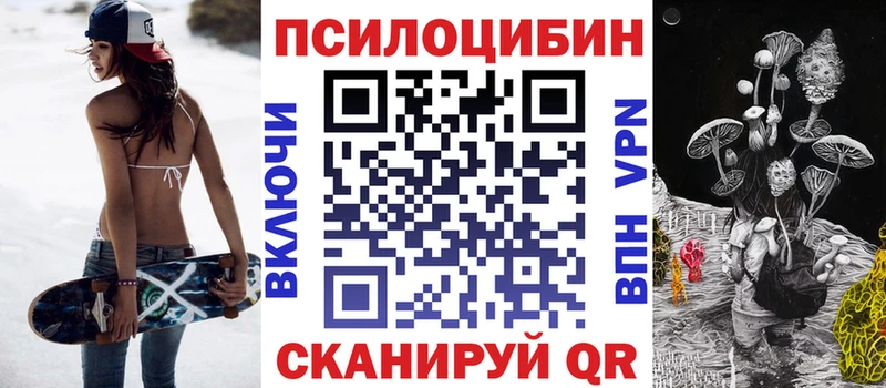 где можно купить   Устюжна  Галлюциногенные грибы Magic Shrooms 